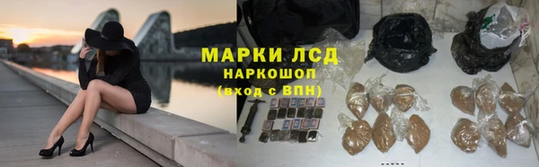 mdpv Богородск