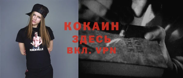 mdpv Богородск