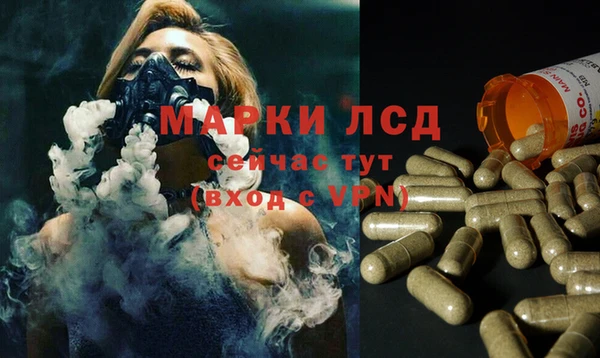 стаф Богородицк