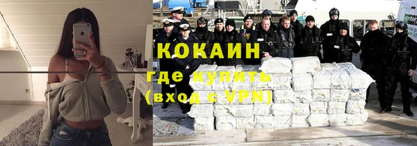 mdpv Богородск